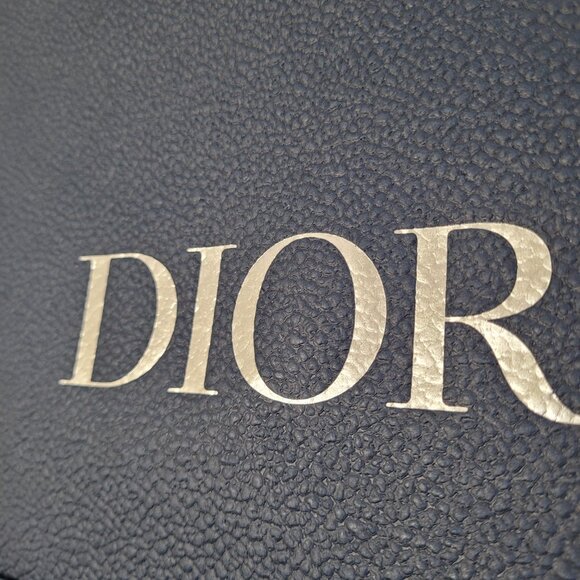 Dior Blue Textured Gift Bag Empty Logo Spell Out Bug Reusable Decorative Craft - Picture 2 of 15